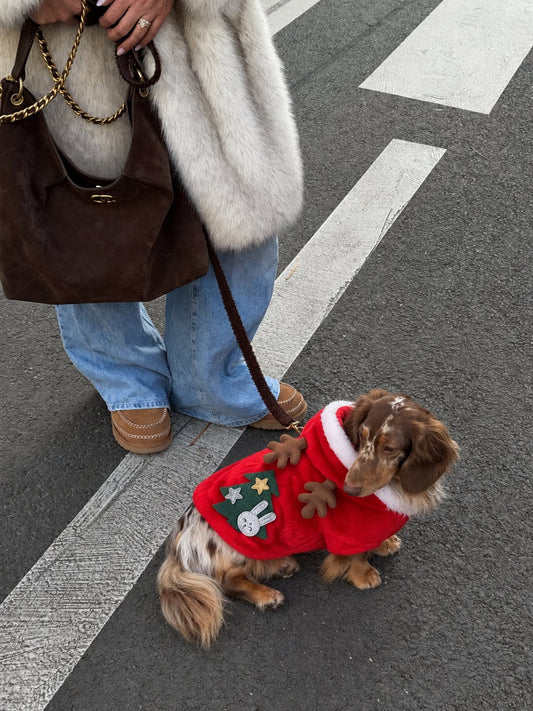 Sudadera Reno con Árbol — perro con la prenda
