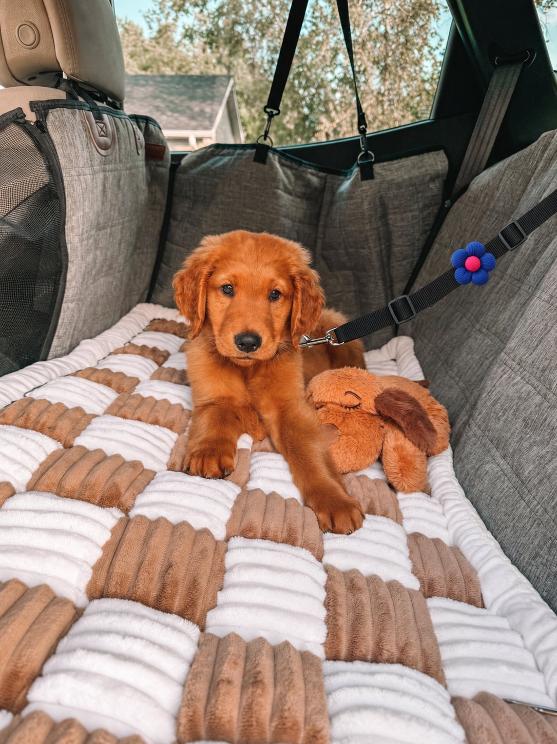 The Road Trip Belt — perro en el coche (Azul)