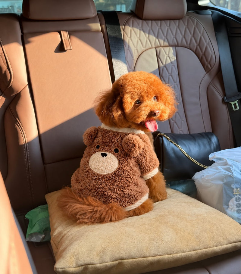 The Little Bear Vest