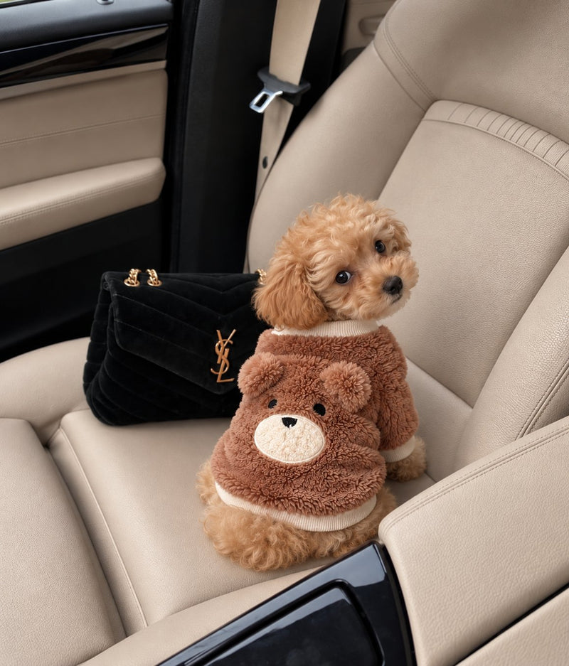 The Little Bear Vest