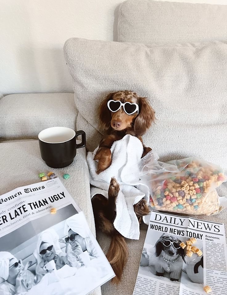 Perros divas de HOT DOGUE STUDIO posando con revistas