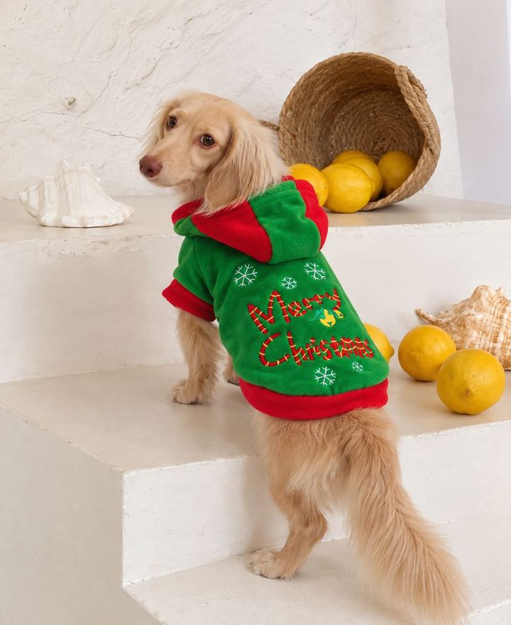 Perros con looks de la colección de Navidad de HOT DOGUE STUDIO