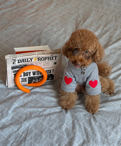 The Cupid Sweater — perro con la prenda (Gris)