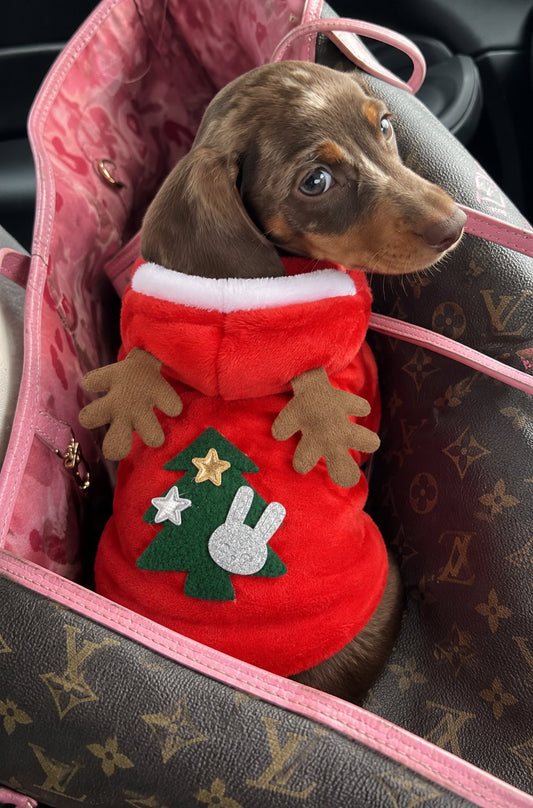 Sudadera Reno con Árbol — perro con la prenda