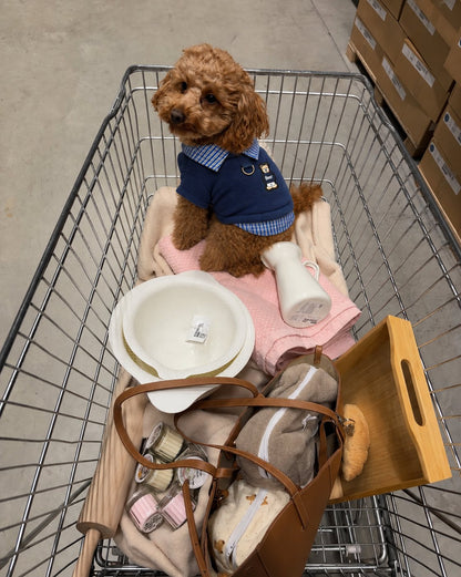 The Ivy Polo — perro con la prenda (Azul)