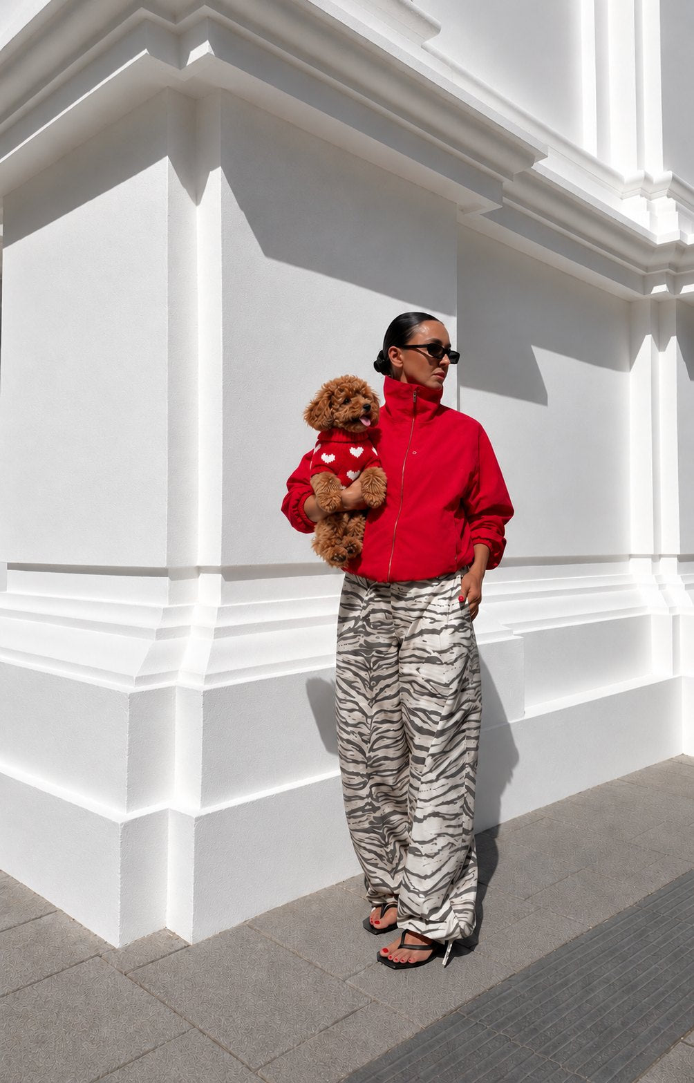 The Crush Sweater — perro con la prenda (Rojo)