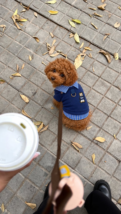 The Ivy Polo — perro con la prenda (Azul)