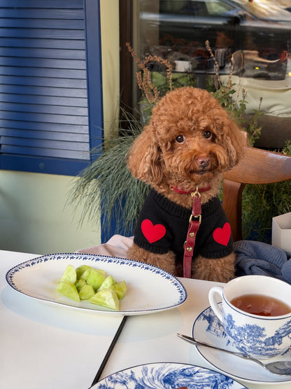 The Cupid Sweater — perro con la prenda (Negro)