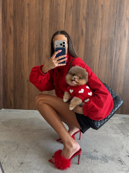 The Crush Sweater — perro con la prenda (Rojo)