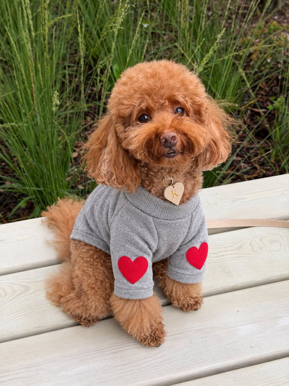 The Cupid Sweater — perro con la prenda (Gris)