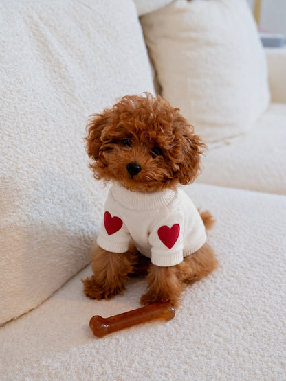 The Cupid Sweater — perro con la prenda (Beige)