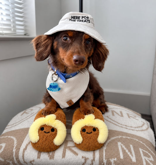 The Cozy Slipper Toy — perro con el juguete (Marrón)