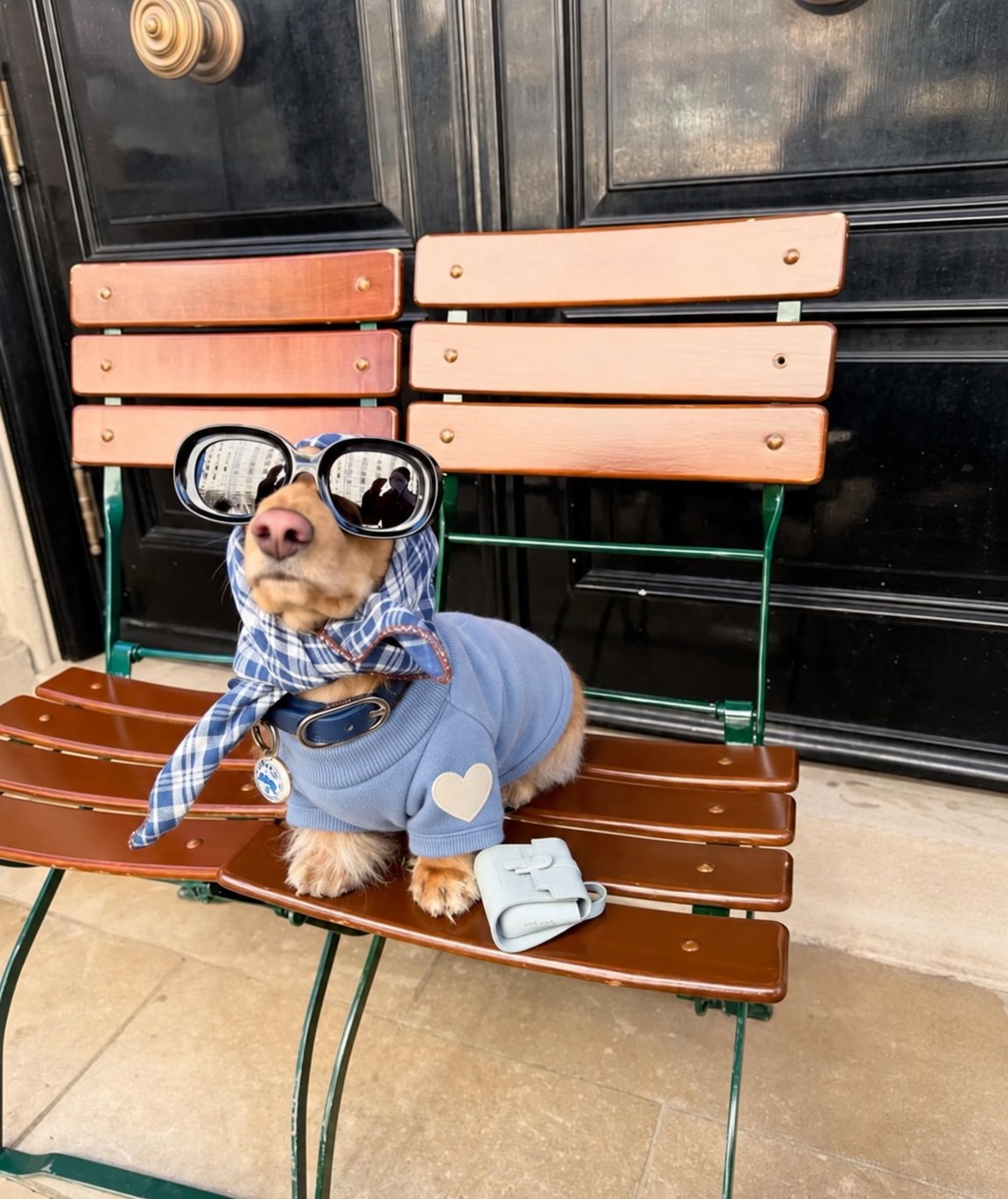 The Amour Sweatshirt — perro con la prenda (Azul)