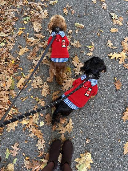 The Ivy Polo — perro con la prenda (Rojo)