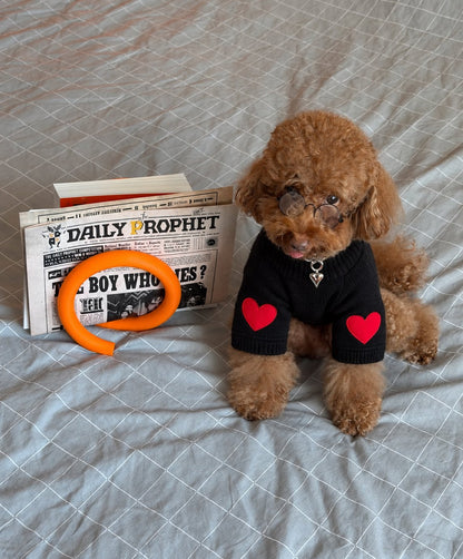 The Cupid Sweater — perro con la prenda (Negro)