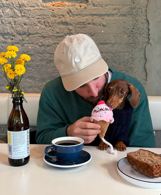 The Tutti Frutti Toy — perro con el juguete (Helado rosa)