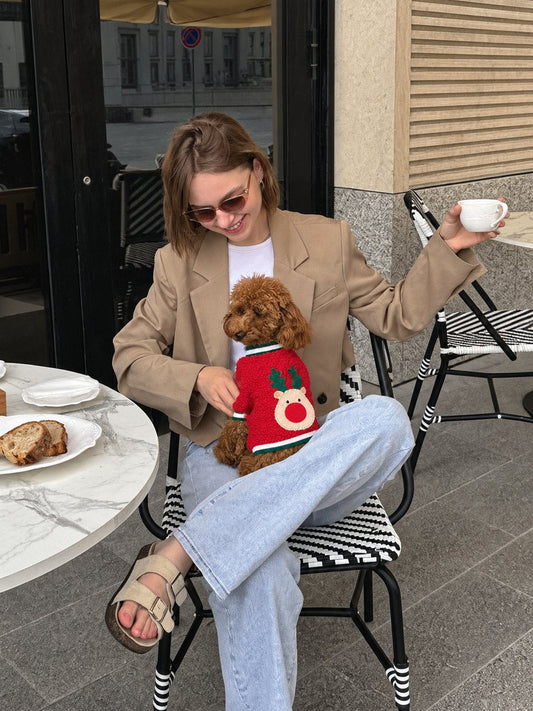 The Coco Sweater — perro con la prenda (Rojo)