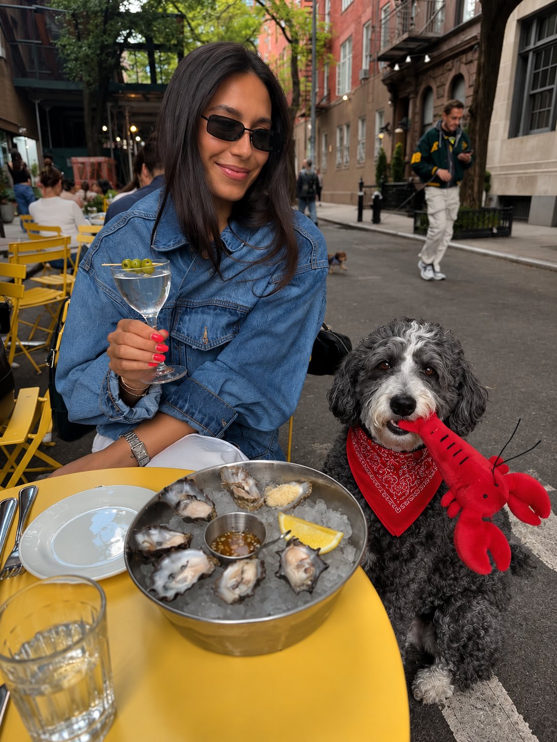 The Foodie Toy — perro con el juguete (Carabinero)