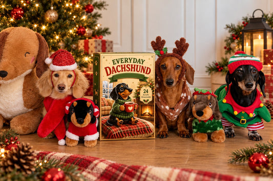 The Advent Box — calendario de Adviento (Everyday Dachshund)