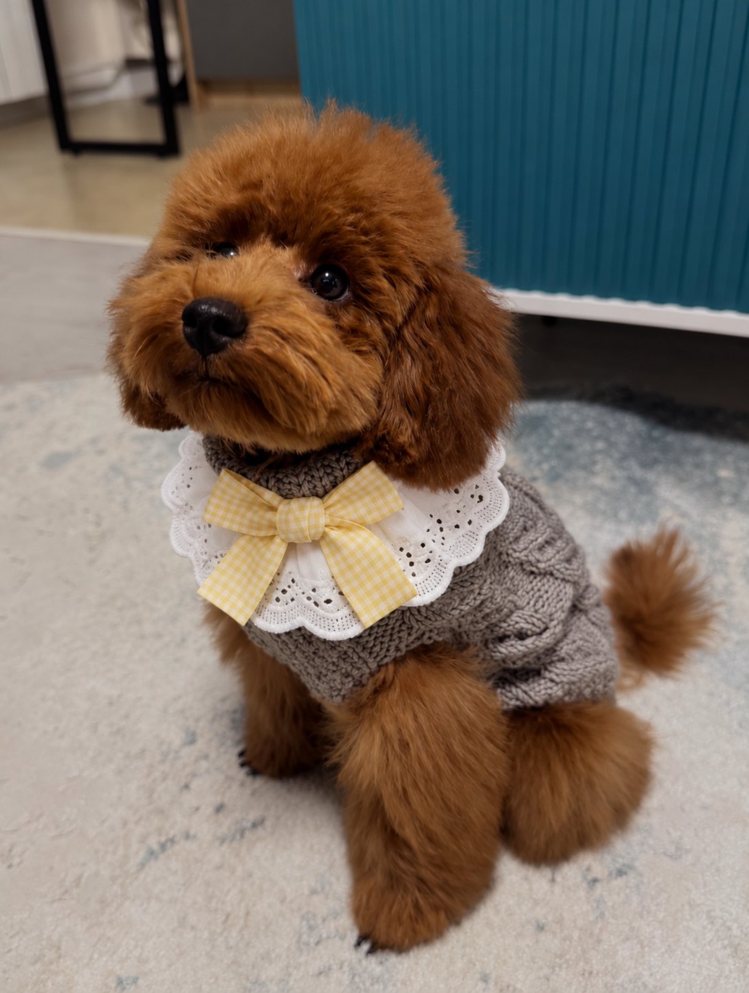 The Dolly Collar — perro con el cuello (Amarillo)