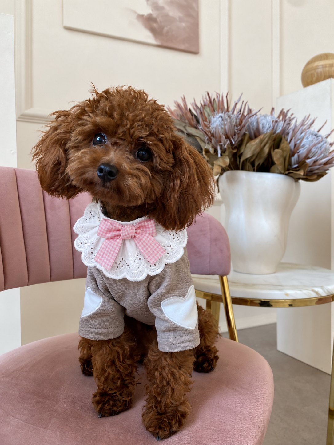 The Dolly Collar — perro con el cuello (Rosa)