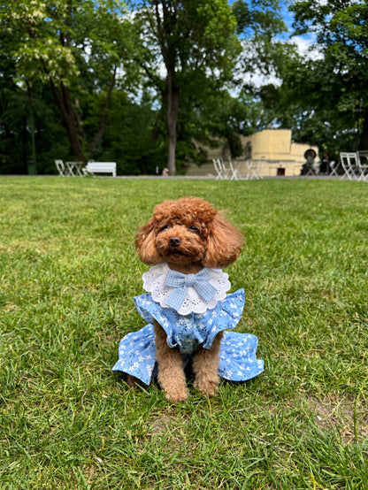 The Dolly Collar — perro con el cuello (Azul)
