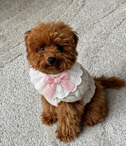The Dolly Collar — perro con el cuello (Rosa)