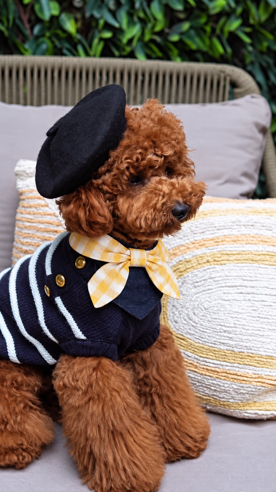 The Picnic Bandana — perro con la bandana (Amarillo)
