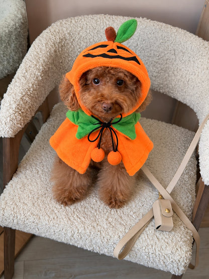 Capa Calabaza Sonriente — perro con el disfraz