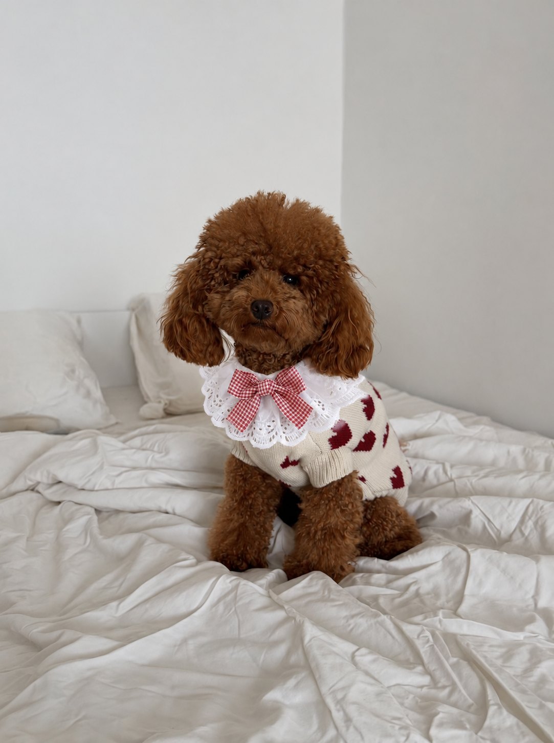 The Dolly Collar — perro con el cuello (Rojo)