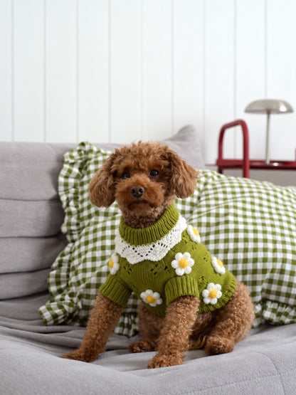 The Lola Knit — perro con la prenda (Verde)