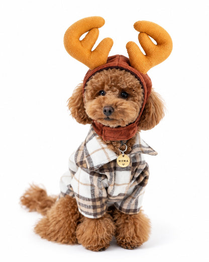 Gorro de Reno — perro con la prenda