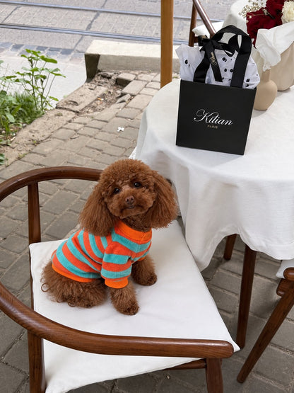 The Riviera Sweater — perro con la prenda (Rayas naranjas y azules)