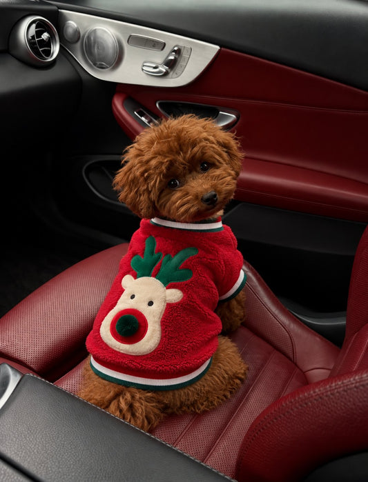 The Coco Sweater — perro con la prenda (Rojo)