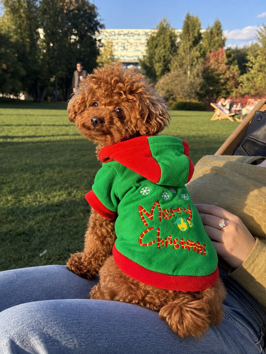 Sudadera Verde «Merry Christmas» — perro con la prenda