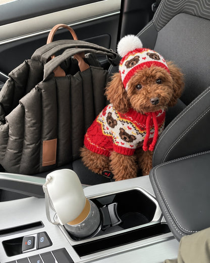 The Apple Pie Knit — perro con la prenda (Rojo)