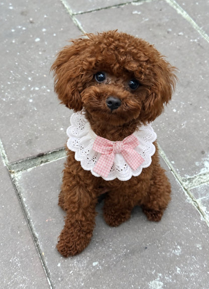The Dolly Collar — perro con el cuello (Rosa)
