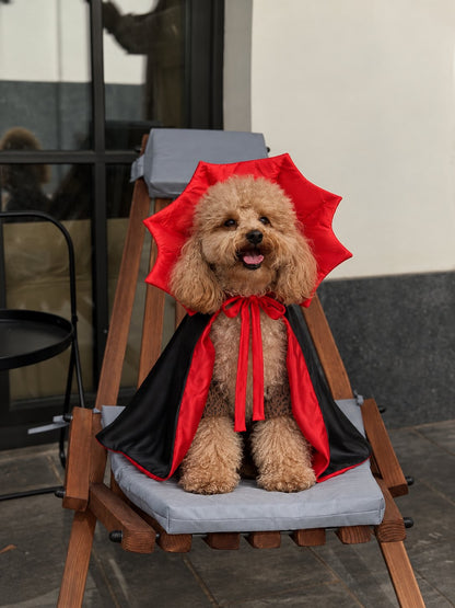Capa Vampiro — perro con el disfraz