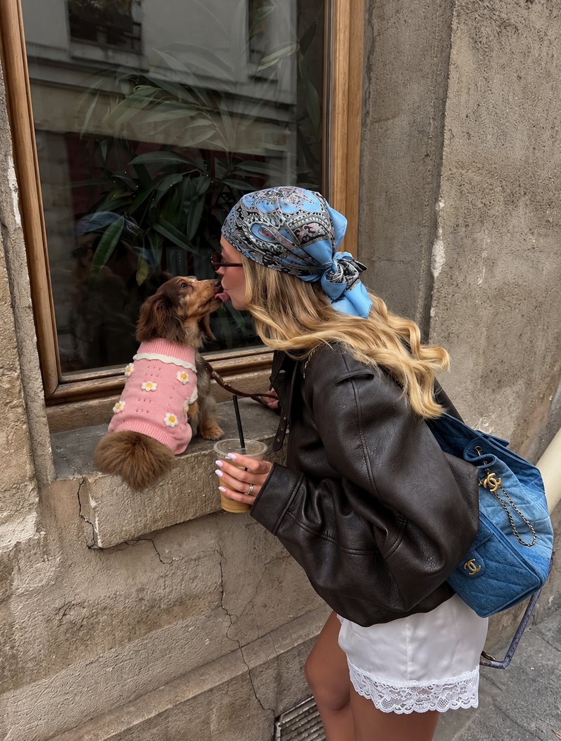 The Lola Knit — perro con la prenda (Rosa)