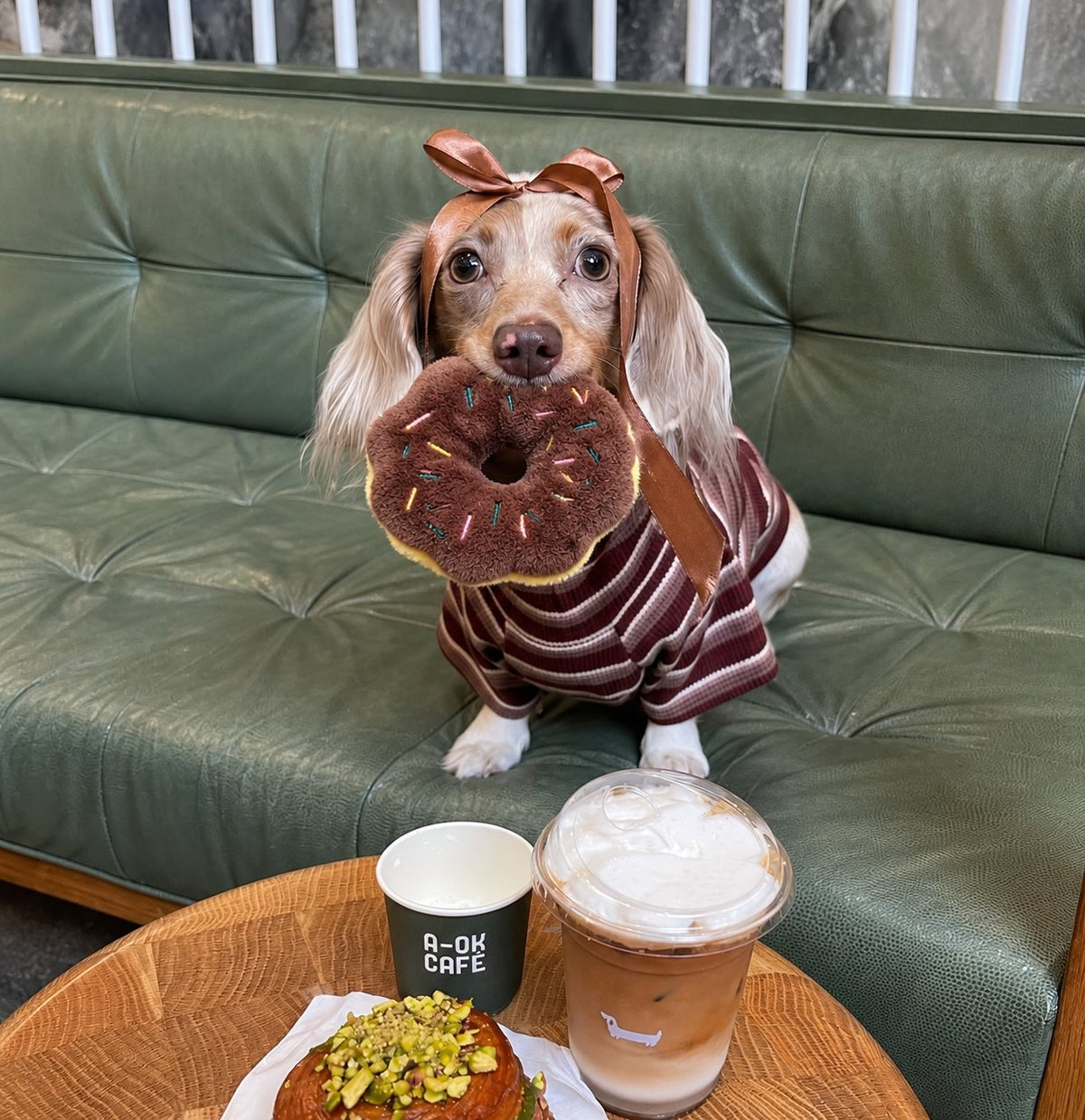 The Sweet Treats Toy — perro con el juguete (Donut chocolate)