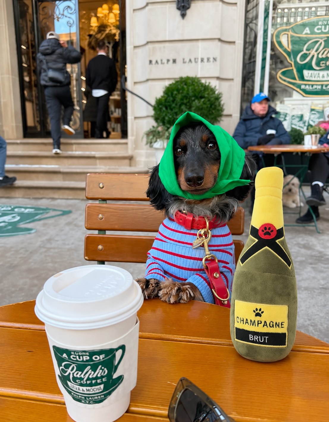 The Happy Hour Toy — perro con el juguete (Champagne Brut)