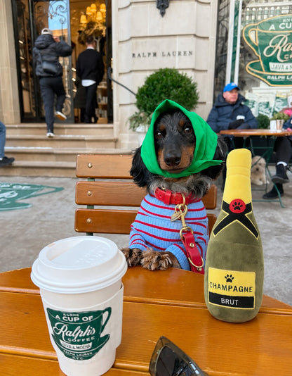 The Happy Hour Toy — perro con el juguete (Champagne Brut)