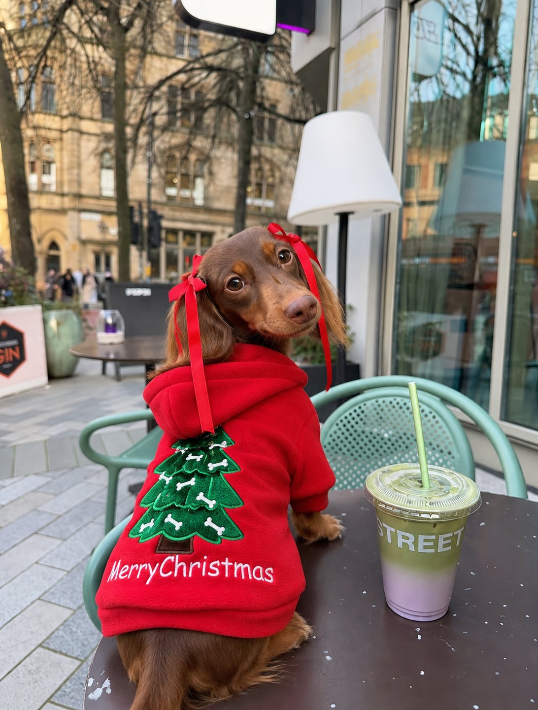 Sudadera Árbol «Merry Christmas» — perro con la prenda