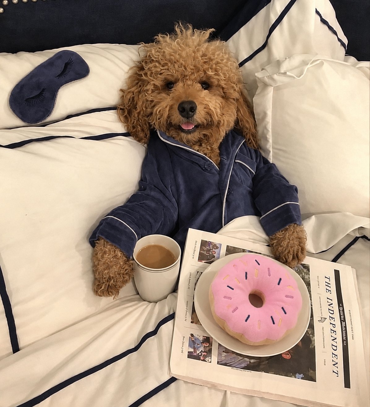 The Sweet Treats Toy — perro con el juguete (Donut rosa)