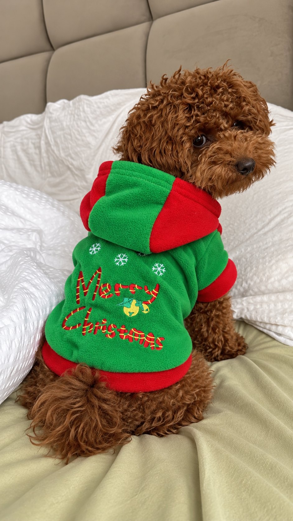 Sudadera Verde «Merry Christmas» — perro con la prenda