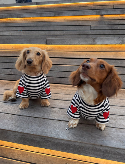 The Marinière Tee — perro con la prenda (Negro)