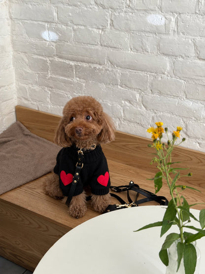 The Cupid Sweater — perro con la prenda (Negro)
