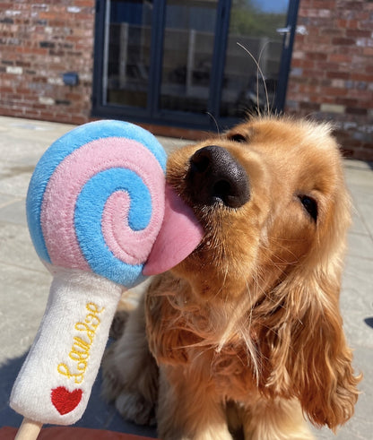 The Sweet Treats Toy — perro con el juguete (Piruleta)