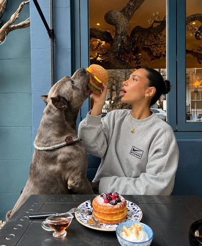 The Foodie Toy — perro con el juguete (Hamburguesa)