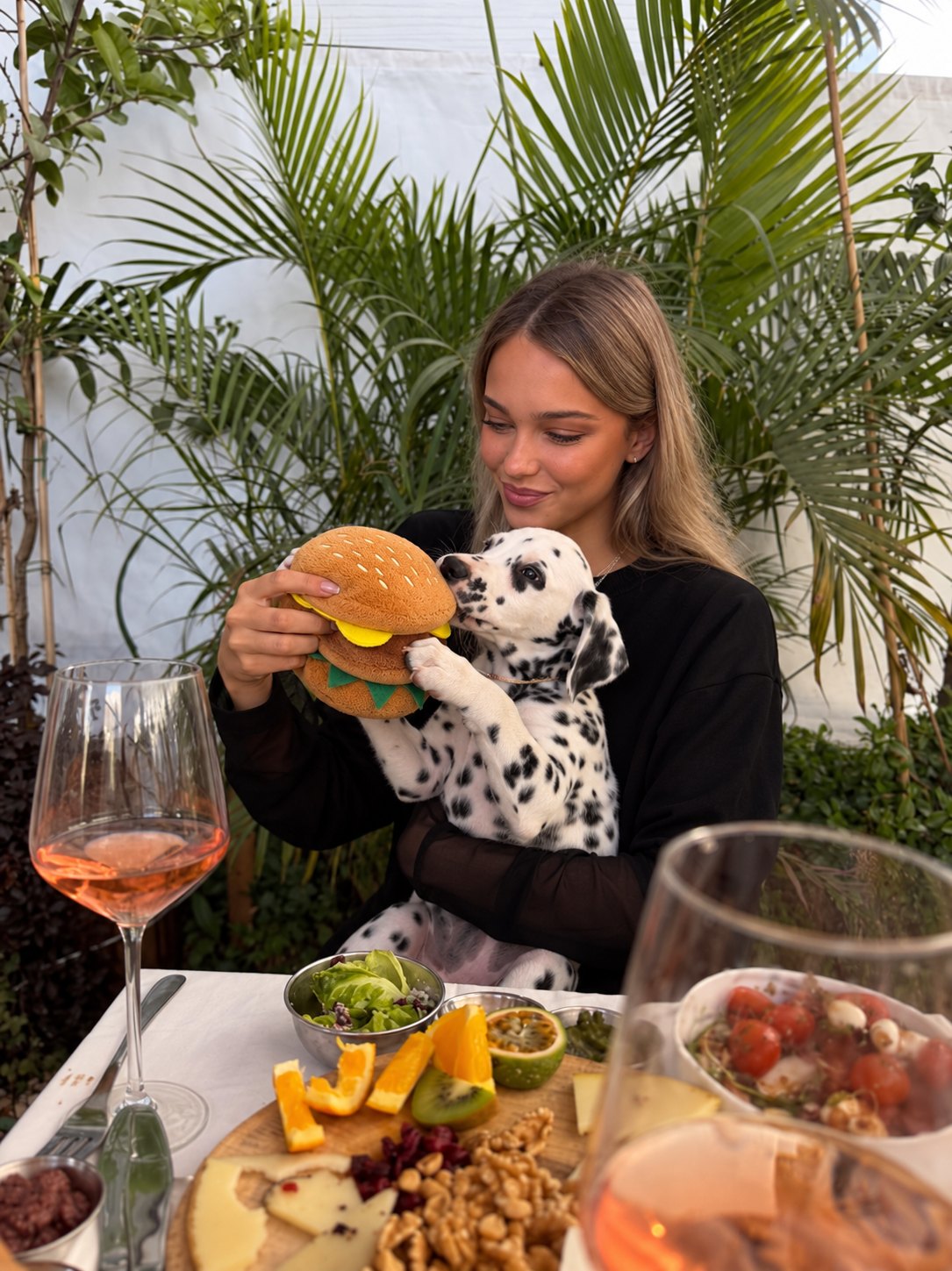 The Foodie Toy — perro con el juguete (Hamburguesa)